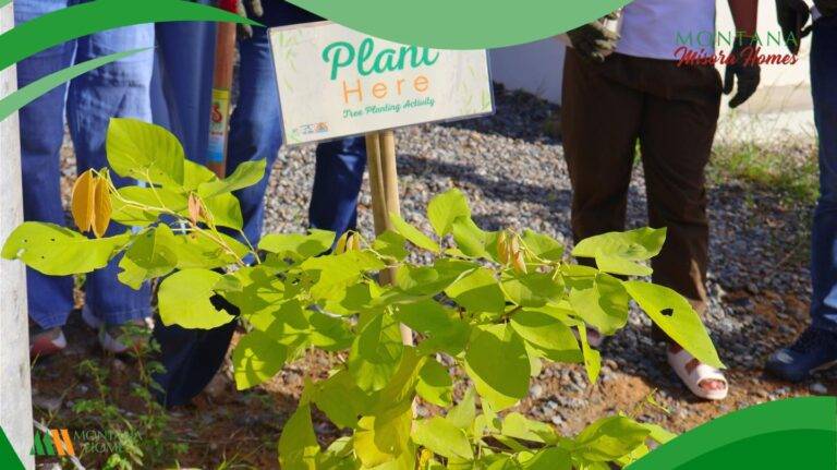 586524236_1299628288846092_2741840305107562620_n